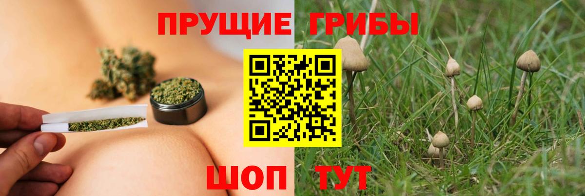 Галлюциногенные грибы GOLDEN TEACHER Звенигород